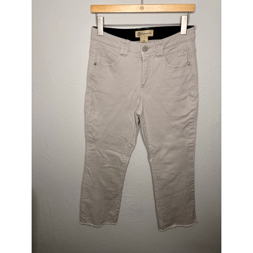 Democracy AB Technology Cropped Raw Hem Pants Size 4